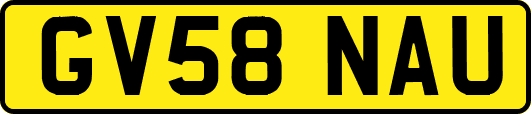 GV58NAU