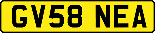 GV58NEA