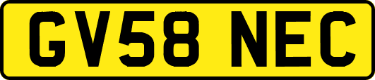 GV58NEC