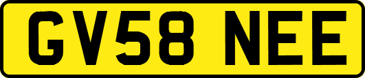 GV58NEE