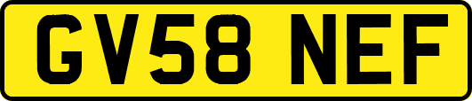 GV58NEF