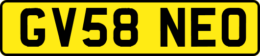 GV58NEO
