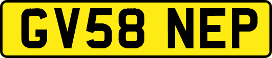 GV58NEP