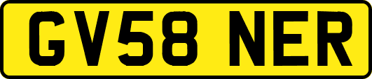 GV58NER