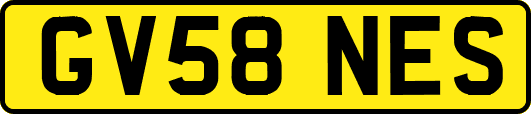 GV58NES