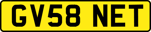 GV58NET