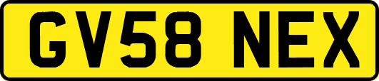 GV58NEX