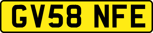 GV58NFE