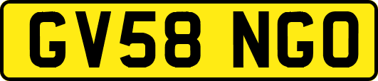 GV58NGO