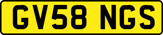 GV58NGS