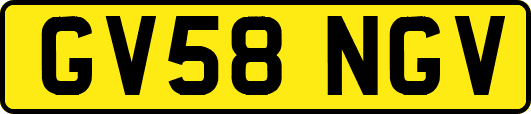 GV58NGV