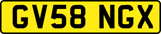 GV58NGX