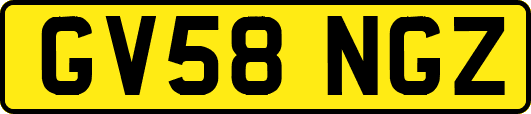 GV58NGZ