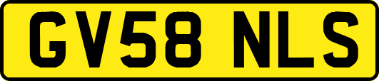 GV58NLS