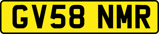 GV58NMR