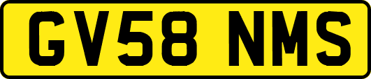 GV58NMS