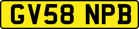 GV58NPB