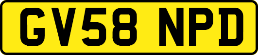 GV58NPD