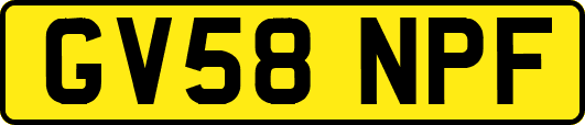 GV58NPF