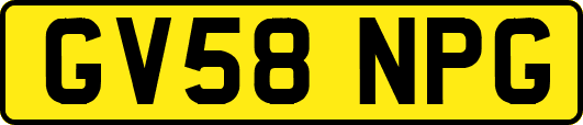 GV58NPG