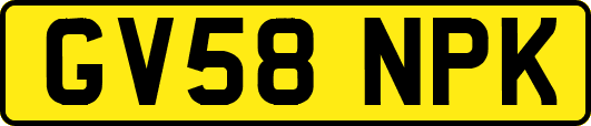 GV58NPK