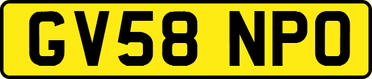 GV58NPO