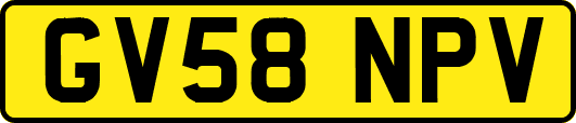 GV58NPV