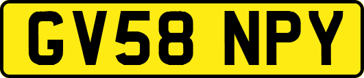 GV58NPY