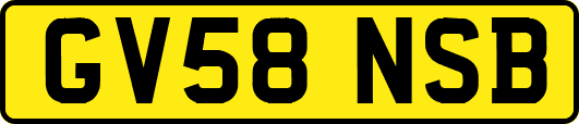 GV58NSB