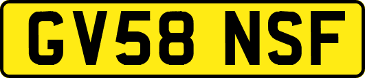 GV58NSF