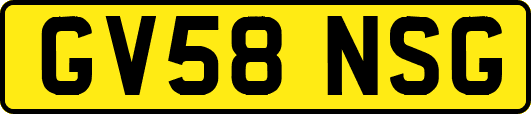 GV58NSG