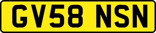 GV58NSN