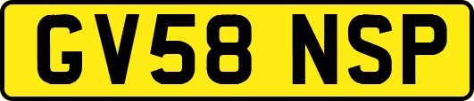 GV58NSP