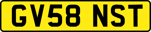 GV58NST