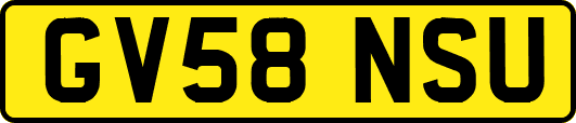 GV58NSU