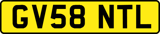 GV58NTL