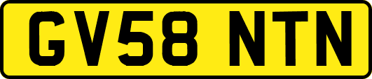 GV58NTN