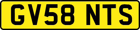 GV58NTS