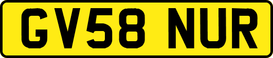 GV58NUR