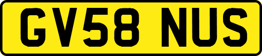 GV58NUS