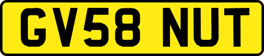 GV58NUT