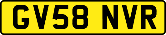 GV58NVR