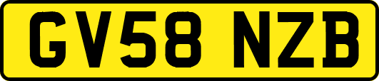 GV58NZB
