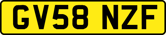 GV58NZF