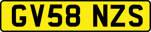 GV58NZS