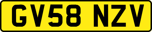 GV58NZV