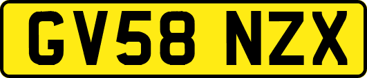 GV58NZX