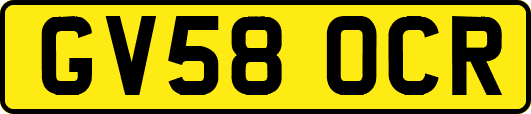 GV58OCR