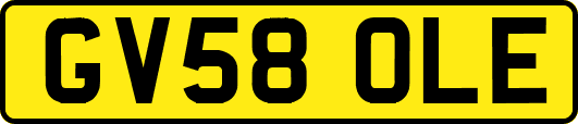 GV58OLE