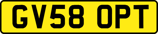 GV58OPT